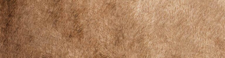 Animal Skin - The History of Retail in 101 Objects